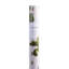 Green Grocer Wrapping Paper