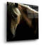 «Spirit Horse» par Tony Stromberg-845903410