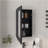 Medicine Cabinet 25.7" H, 1 Door, 3 Shelves, 1 Mirror, Black-1969123103