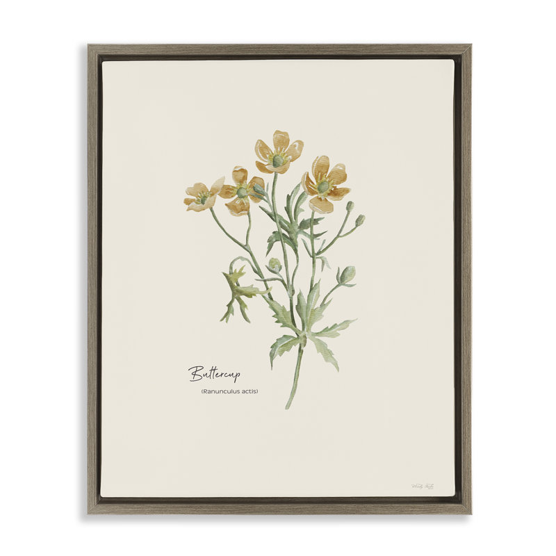 «Simple Buttercup Flowers» par Cindy Jacobs, Brun, H 21 po x l 17 po