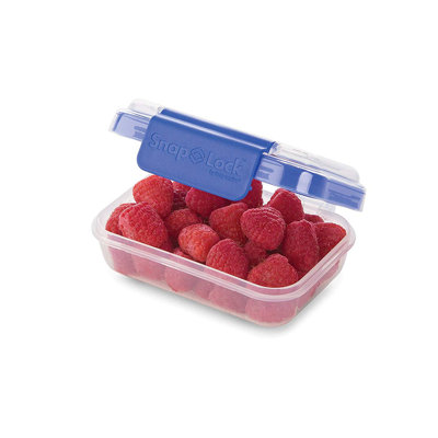 Food Storage Container
