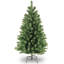 The Holiday Aisle® North Valley Spruce Tree-1548236846