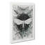 Butterflies Winged Insects by Ernst Haeckel - Wrapped Canvas-61848234