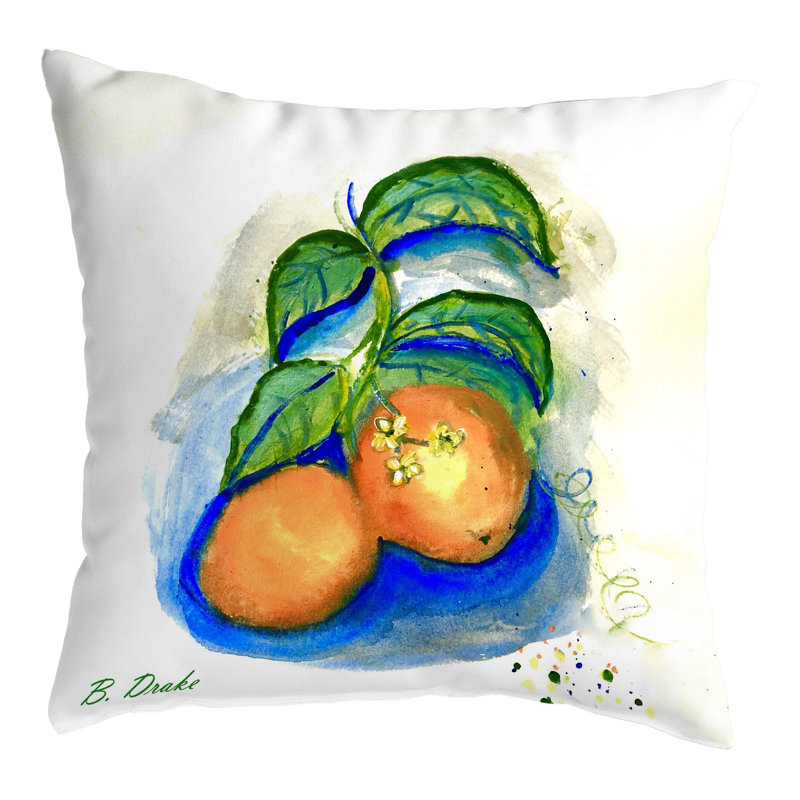 Housse et insert de coussin extérieur d'extérieur, 18 po x 18 po