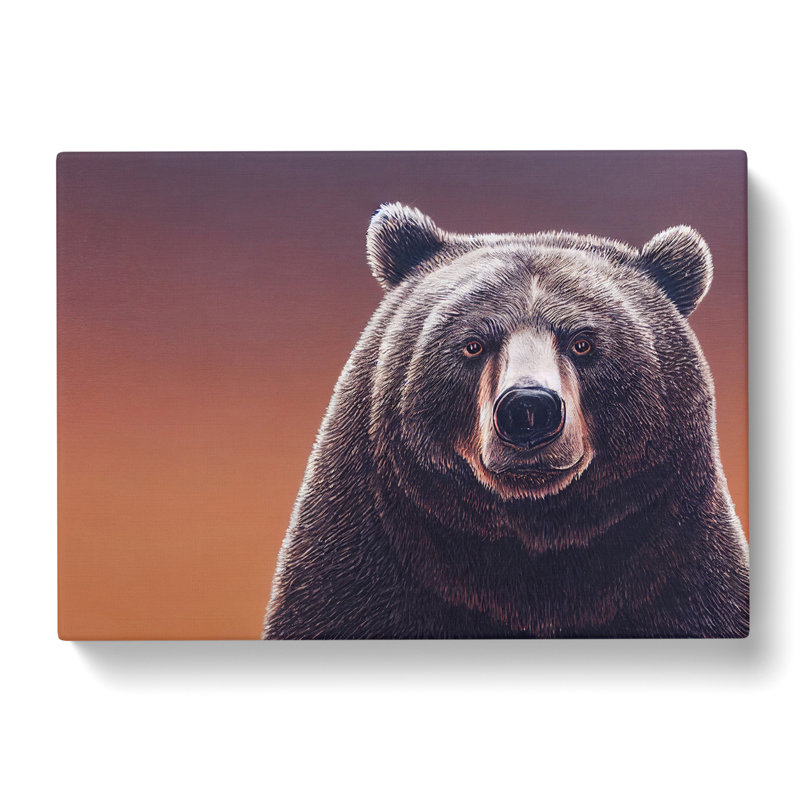 Stimulating Bear - Wrapped Canvas, 40cm H x 60cm W x 3cm D