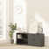 Negin Storage Side cabinet with Two Shelves