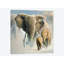 « running éléphants ii », impression sur toile-29479907-73649015-73649020