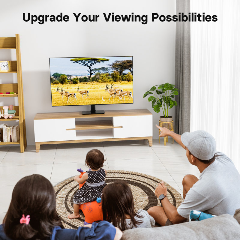 1Home Single Screen Desktop Mount
