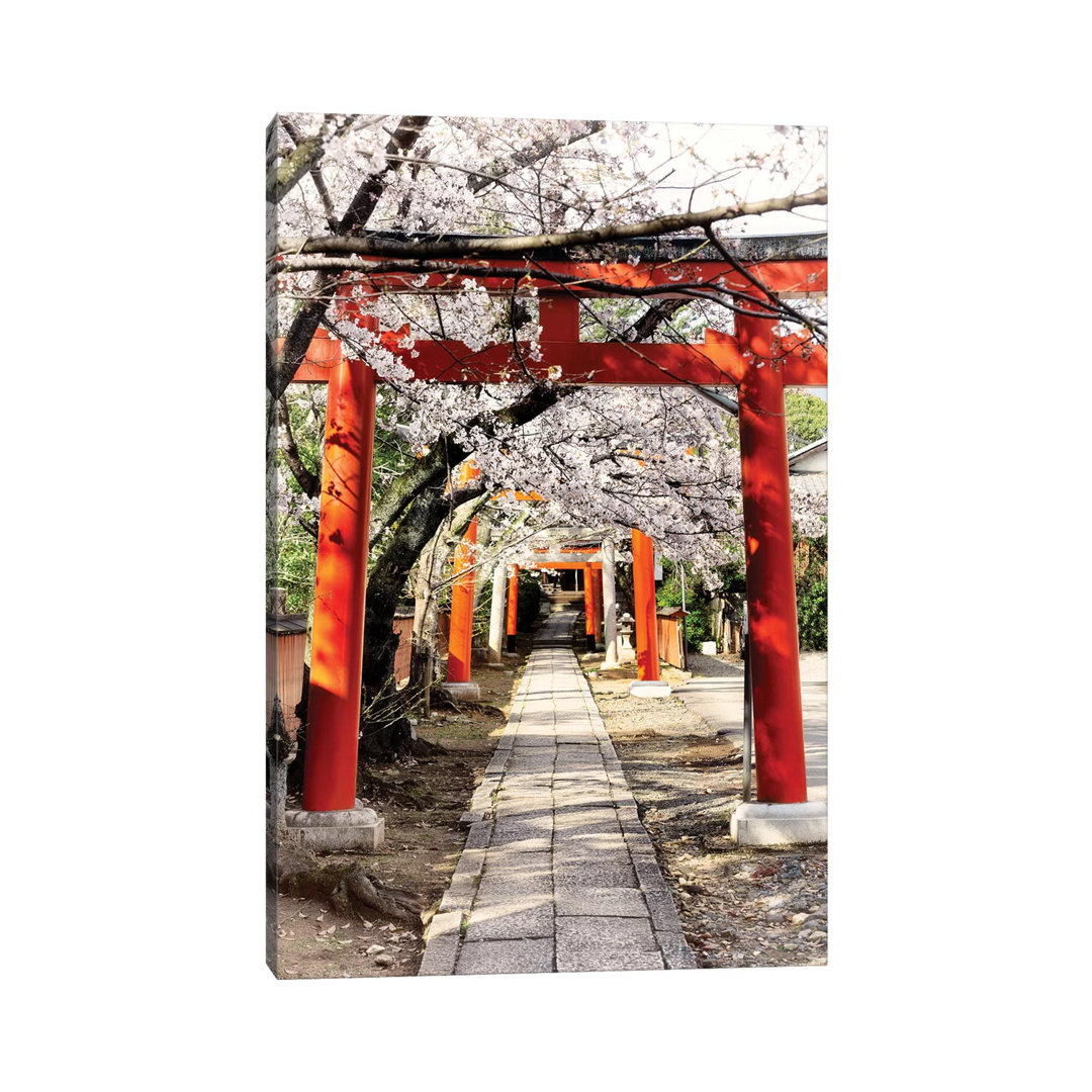 Cherry Blossoms And Torii by Philippe Hugonnard - Wrapped Canvas Print