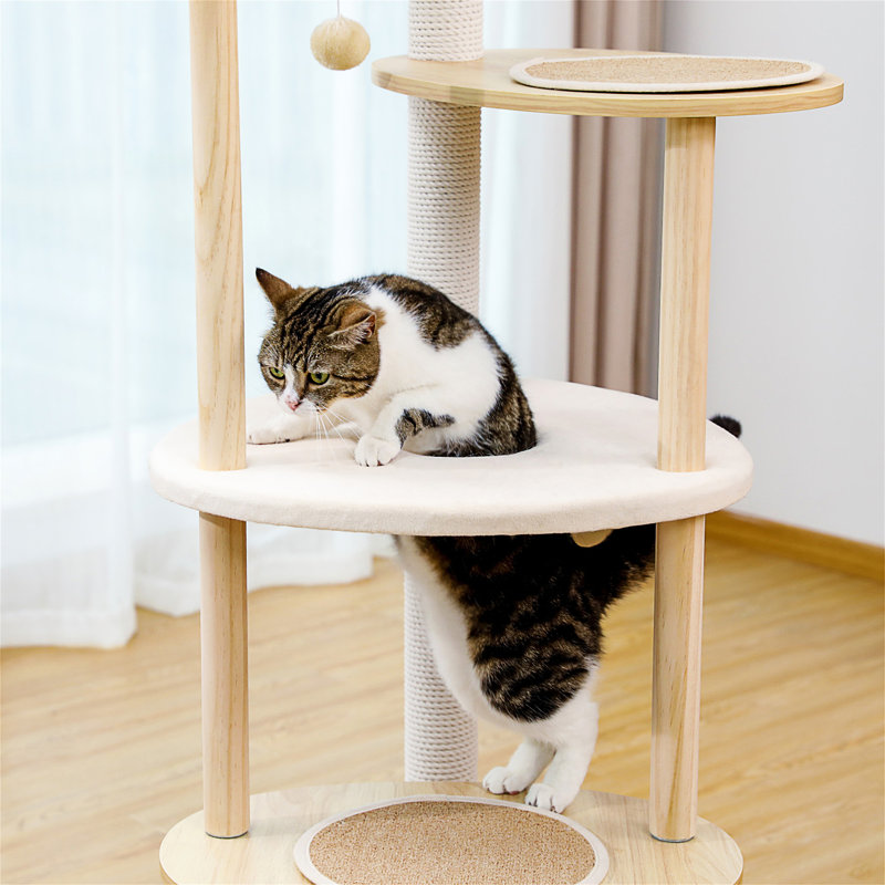 Tour à chat en bois pour chats d'intérieur, maisonnette grimpante à 5 niveaux avec poteaux à griffer en sisal beige