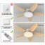 Damekia 42" 5 - Blade Dimmable LED Reversible Ceiling Fan With Light And Remote Control-2023467380