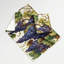 Tapisserie murale «Fruit Grape Delaware»-133648335