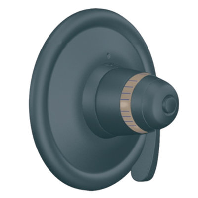 Exacttemp Thermostatic Faucet Trim with Lever Handle