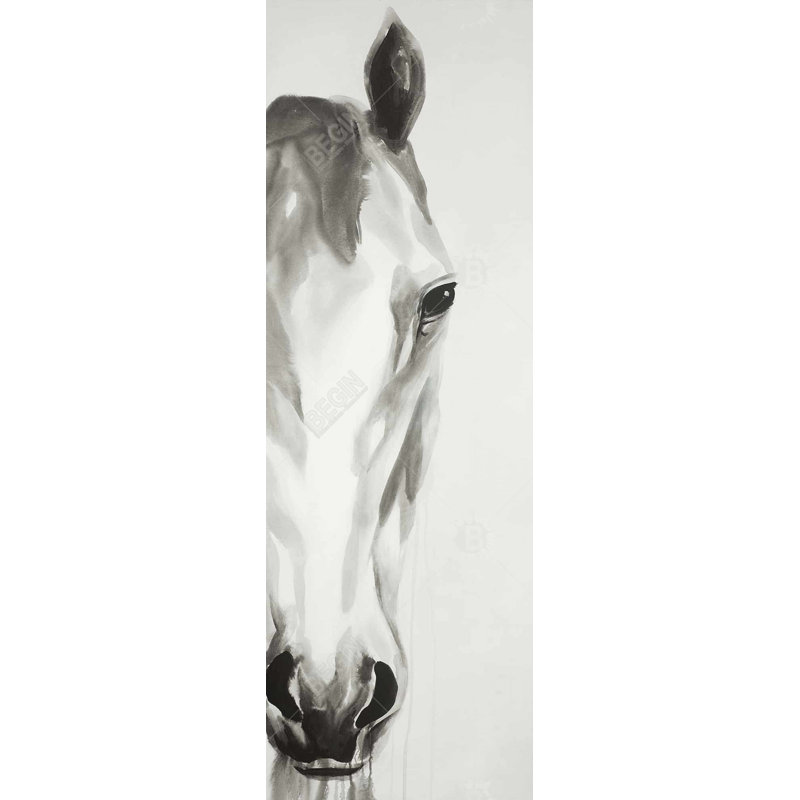 " Black & White Horse Face "