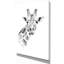 Girafe en noir et blanc - reproduction d'art sur toile tendue-29495846