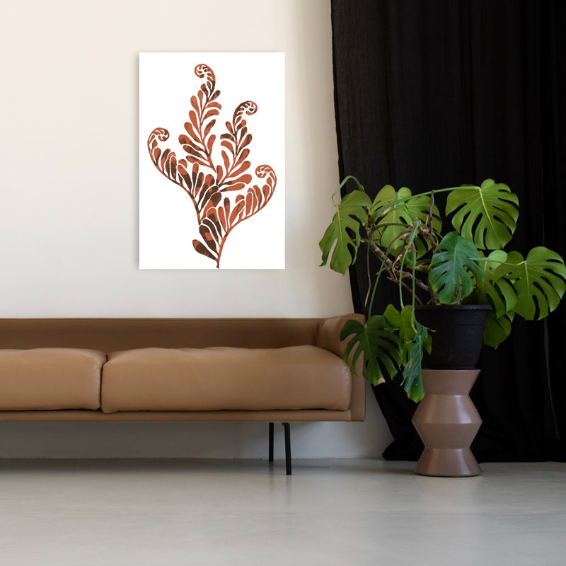 Fougère botanique terrestre, 48" H x 32" W