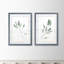 Simple sauge - ensemble de 2 reproductions d'art encadrées-1578471021-1541205133-1578471018
