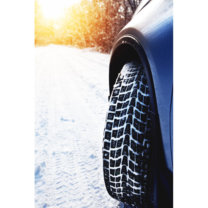 Winter Tire par Aleksle, H 12 po x l 8 po