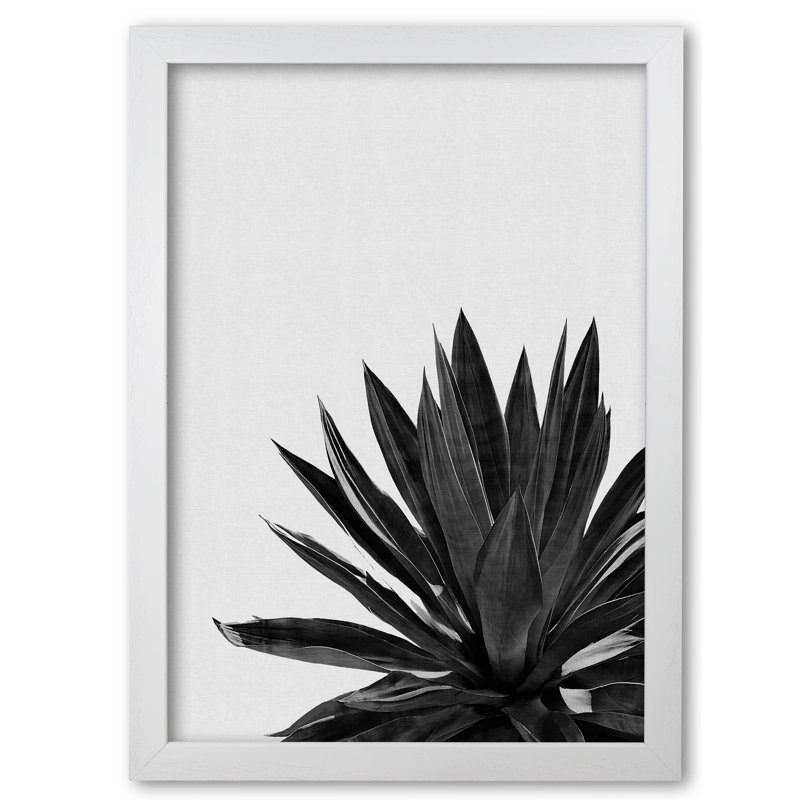 Agave Cactus - Single Picture Frame Print, White Grain Frame, 60 cm H x 42 cm W x 5 cm D