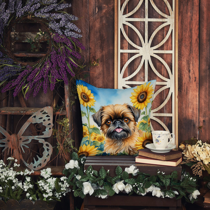 Other/No Pattern Outdoor Throw Pillow, 14" H x 14" W
