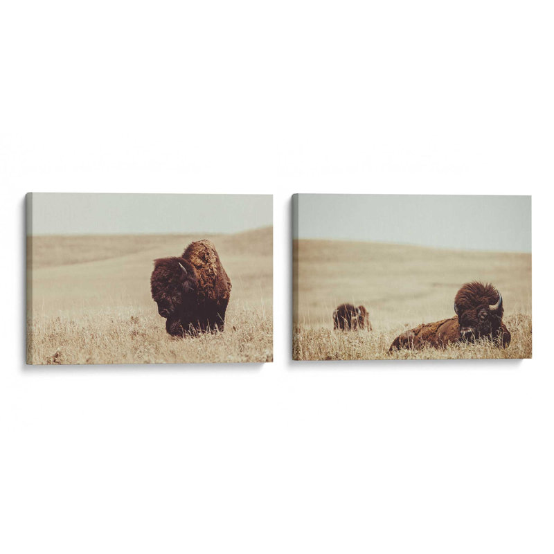 Ensemble de 2 bisons des prairies, Toile tendue, Ne s’applique pas, H 12 po x l 36 po x P 1,75 po