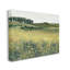 Stupell Industries Rural Daisy Meadow Framed Giclee Art Design By Michael Willett-91298636-91298638