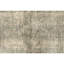 Hand Knotted Area Rug in Gray And Silver