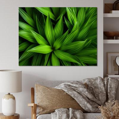 Greenerys Gaze sur impression sur toile