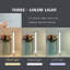 Ensoll Hollywood Mirror Lighted Vanity Mirror, 3 Adjustable Lightmodes, USB Phone Charging Port