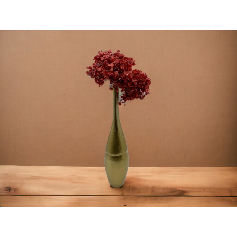 Hortensia Anna séchée, Rouge