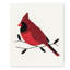 Torchon Cardinals