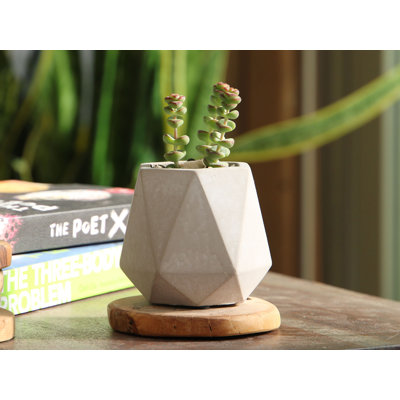 Pots de fleurs miniatures en béton Geometry Skyline Tumbler (lot de 18) - Intérieur/Extérieur