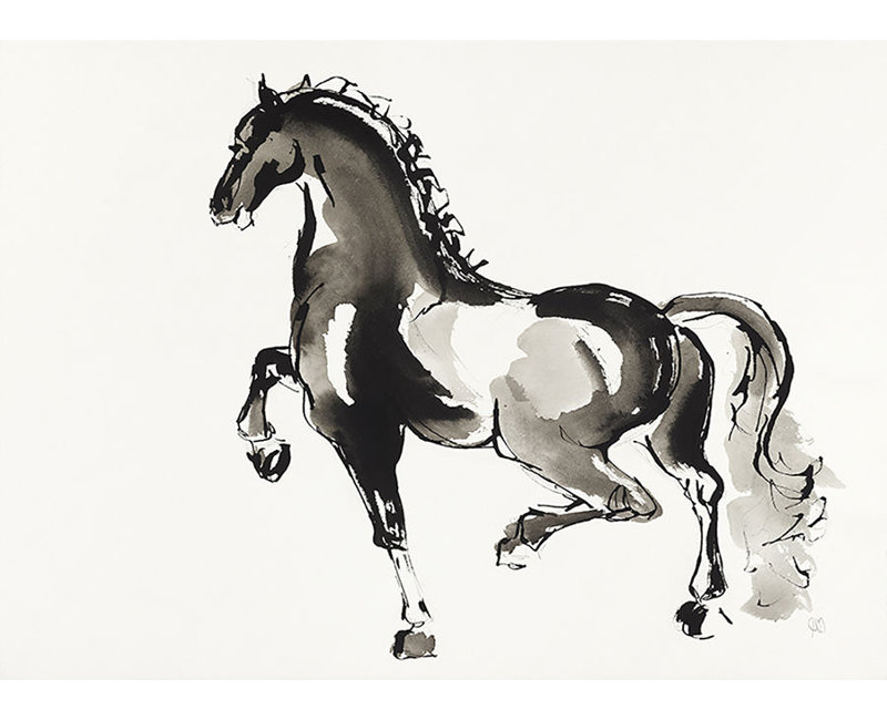 Horse H7 Print by Chris Paschke, Glass Coat, 24" H x 32" W