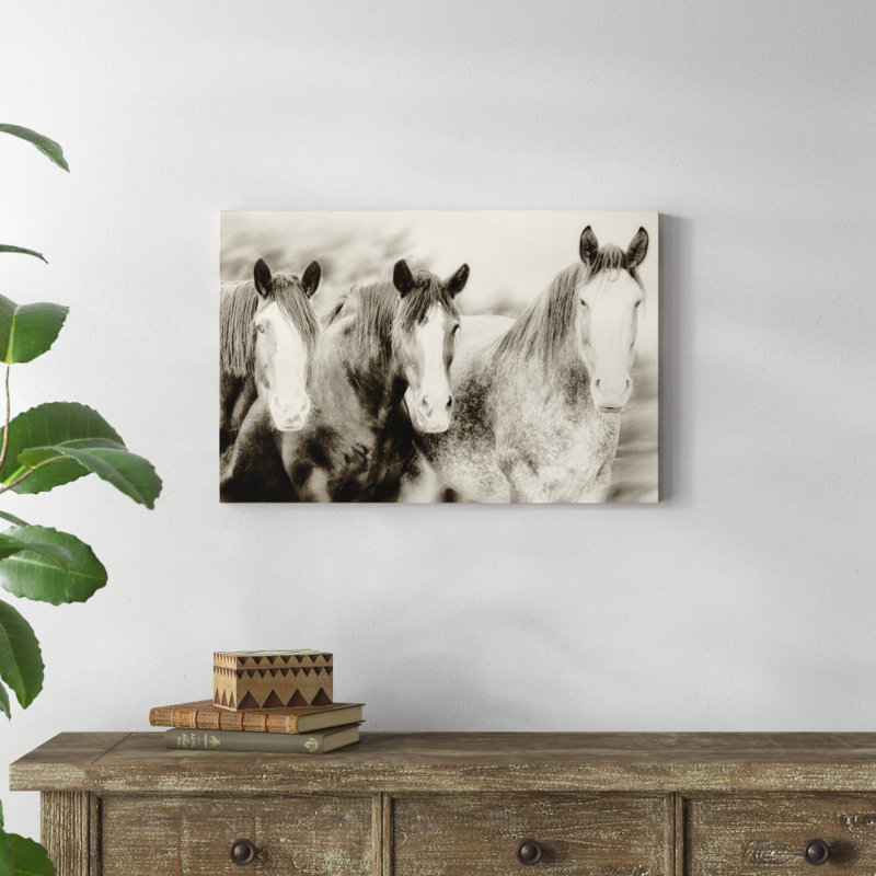 Three Amigos II by PHBurchett - Photograph, 51cm H x 76cm W, Wrapped Canvas