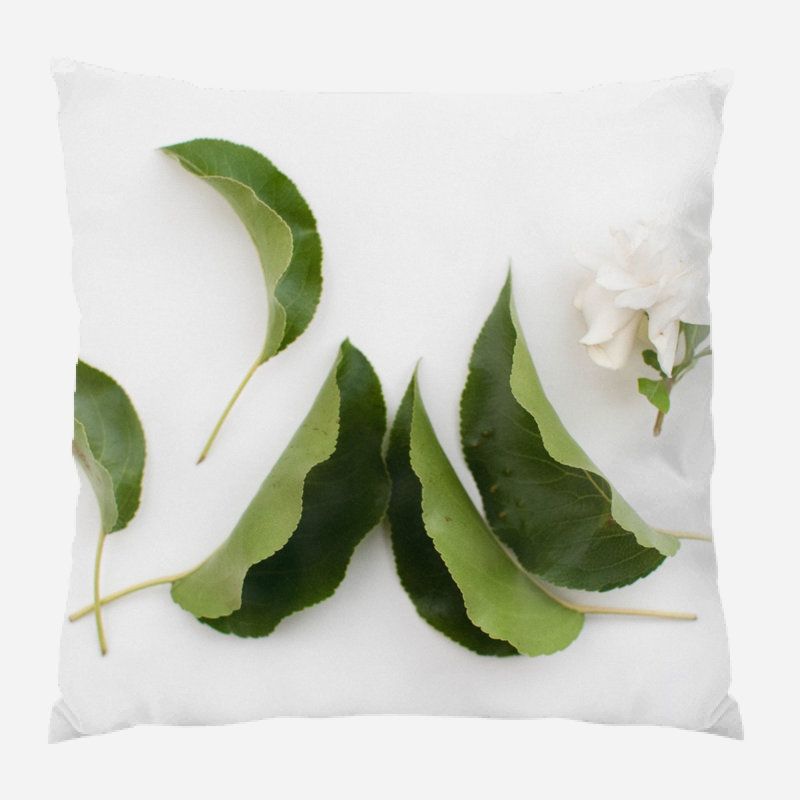 Coussin décoratif fleur Rheba, Microsuède, Intérieur