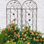 Ensemble de 4 treillis d'extérieur 86,7 po x 19,7 po antirouille pour plantes grimpantes dans un jardin brun antirouille 19,7 po
