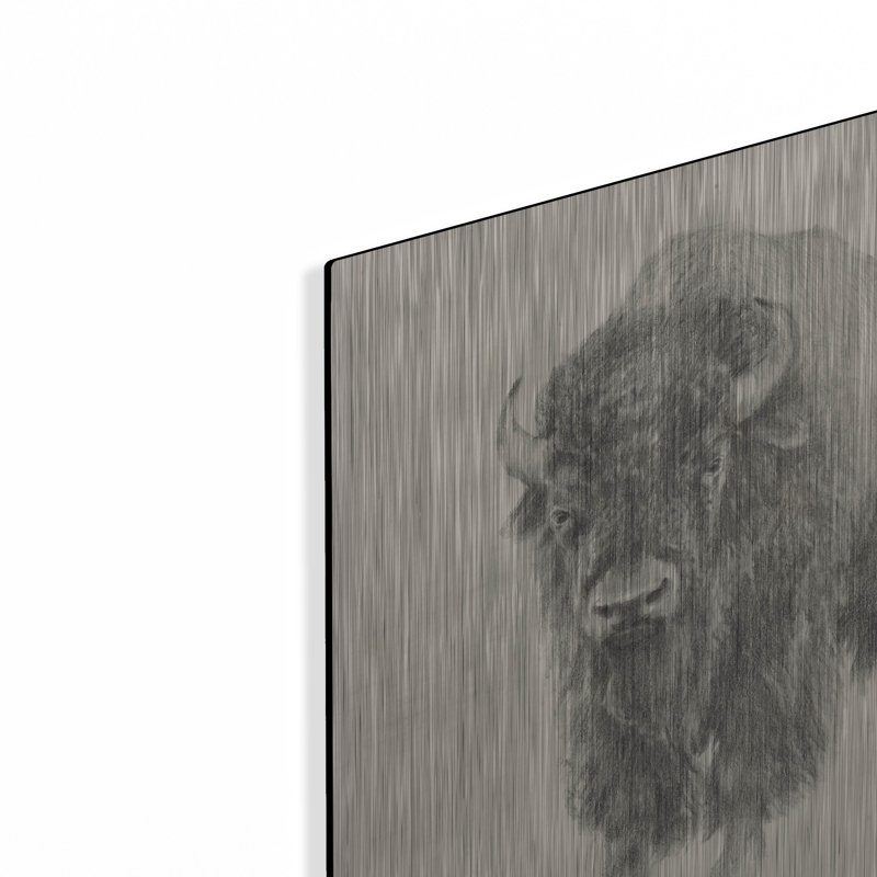 «Western Bison Study» par Ethan Harper, H 12 po x l 12 po