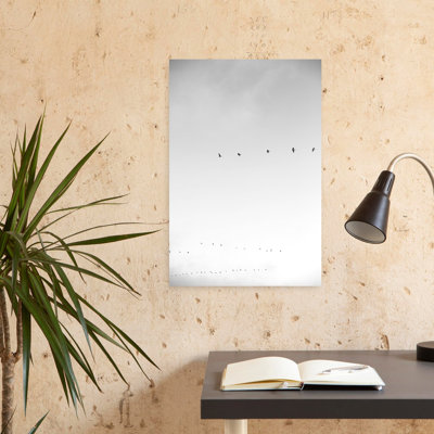 Art contemporain abstrait, minimaliste, oiseau, mouche, nature, faune