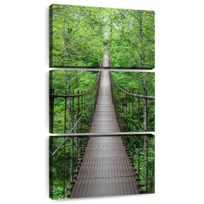 Bridge in Forest