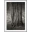 My Kingdom 2 Print by Ralph Mercer-756907833