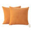 Areia Indoor / Outdoor Orange Square Cushion Cover