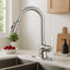 Frigidaire Alexis Pull Down Kitchen Faucet