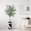 Arbre artificiel dans un pot de fleurs moderne, faux arbre en soie d'eucalyptus (décoration en pot et arbre)