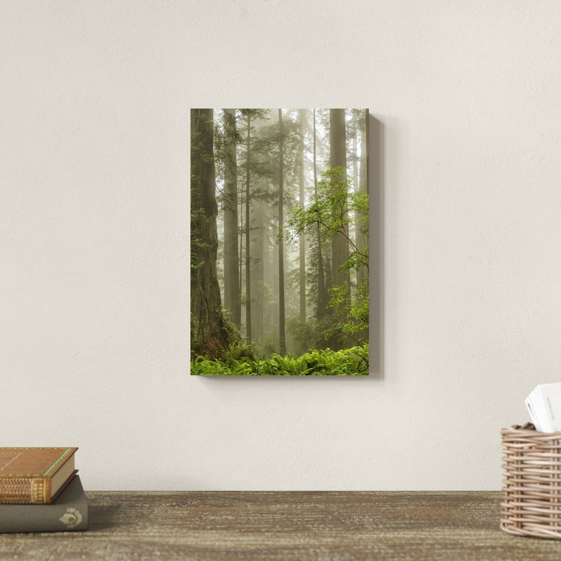 «Summer Forest II» par Dianne Poinski - Photographie sur toile tendue, H 12 po x l 8 po, Imprimé à cadre doré, Blanc