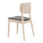 Ensemble de 2 chaises d'appoint Modern