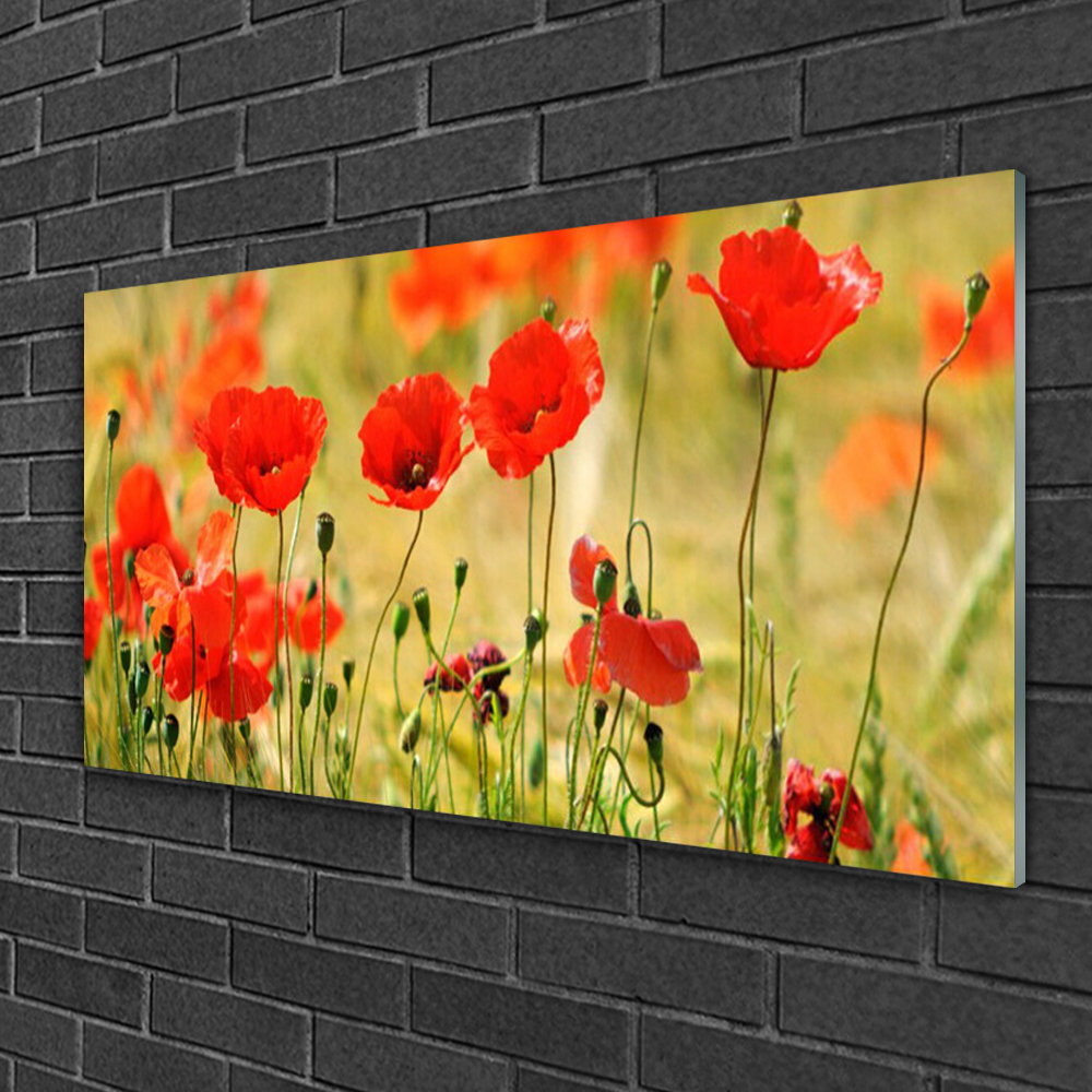 Glasbild Poppies Nature