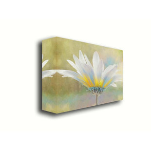Golden Sunshine on a Most Splendid Daisy by Hal Halli. Giclee Gallery Wrapped Canvas with Float Frame, image size - 40x60