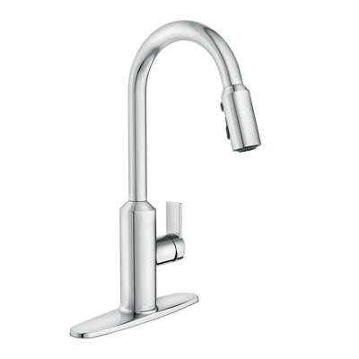 Meena Single-Handle Pull-Down Sprayer Kitchen Faucet With Powerboost And Reflex