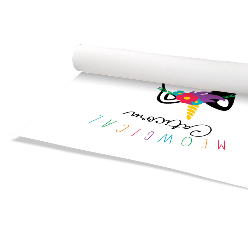 Impression sur papier Rolled Meowgical, H 16 po x l 16 po x P 1 po