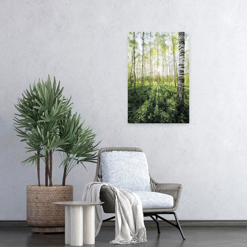 Impression d'art mural Birch Grove, 24" H x 16" W